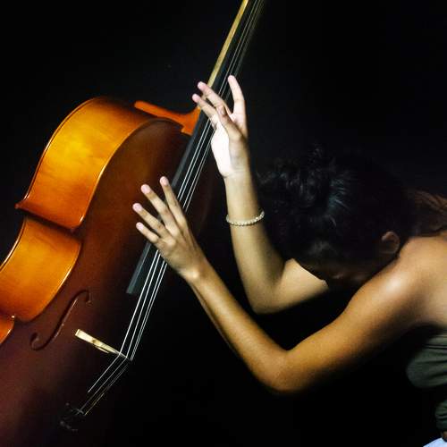 Photo #9948734