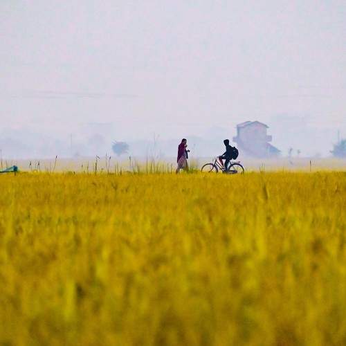 Photo #9948750