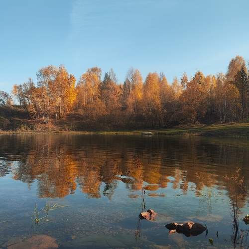 Photo #9948778
