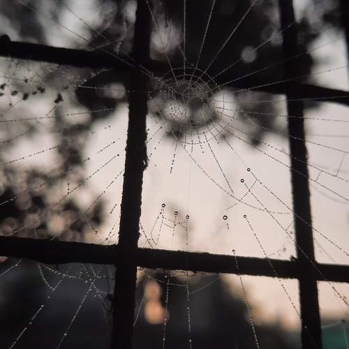 Photo #9948813
