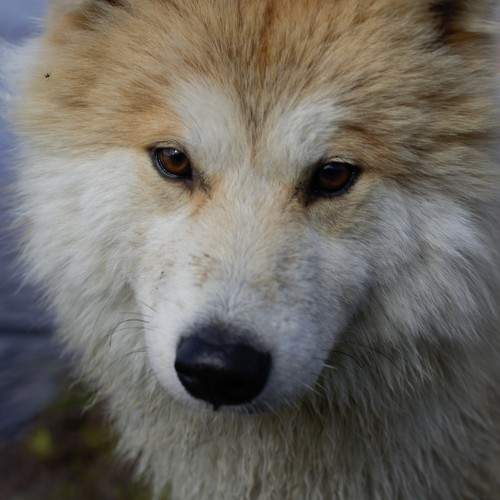 Photo #9949542
