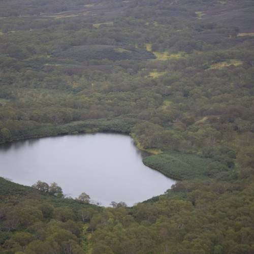 Photo #9949559