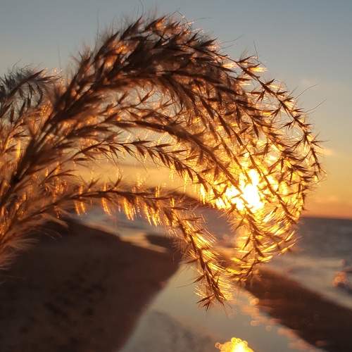 Photo #9949736
