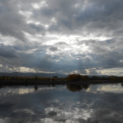 Photo #999219