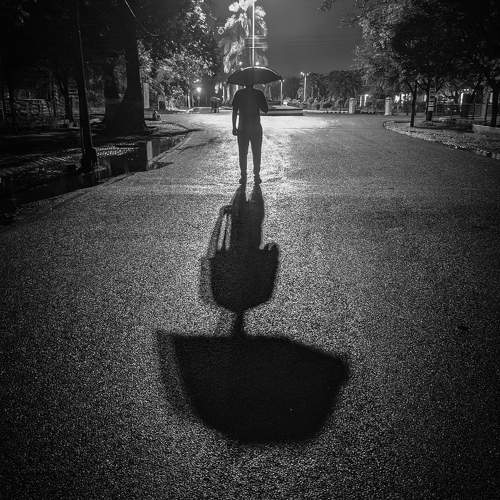 Photo #9950036