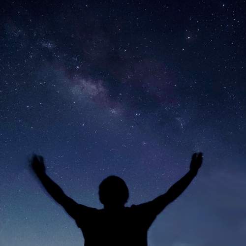 Photo #9950044