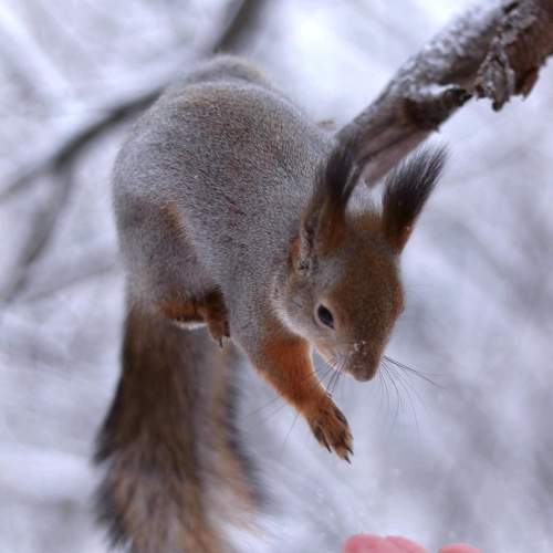 Photo #9950661