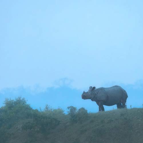 Photo #9950678