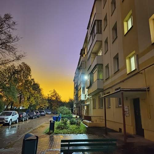 Photo #9950748