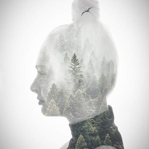 Photo #9950751