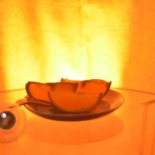 Photo #9950937