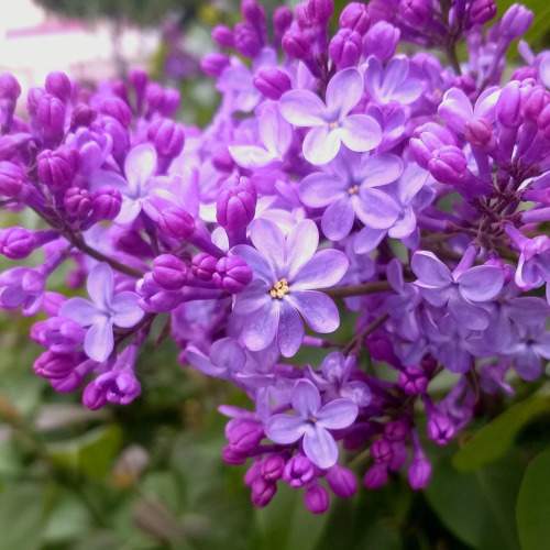 Photo #9950949