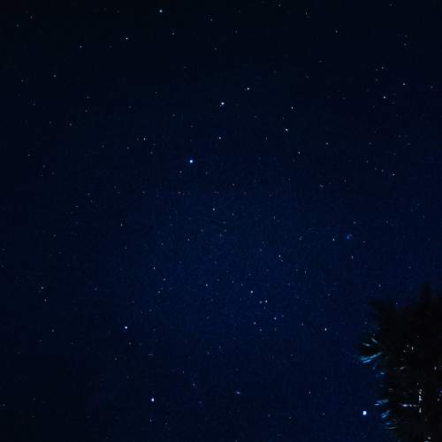 Photo #9951067