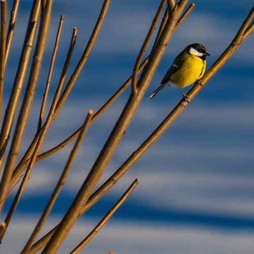 Photo #9951201