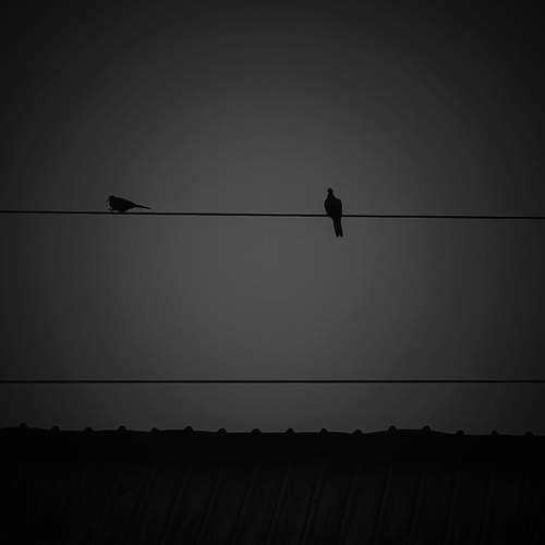 Photo #9951267