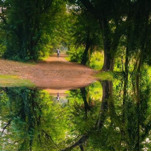 Parallel world