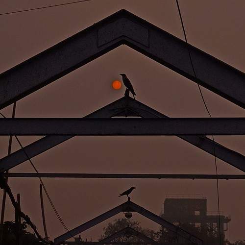 Photo #9951614