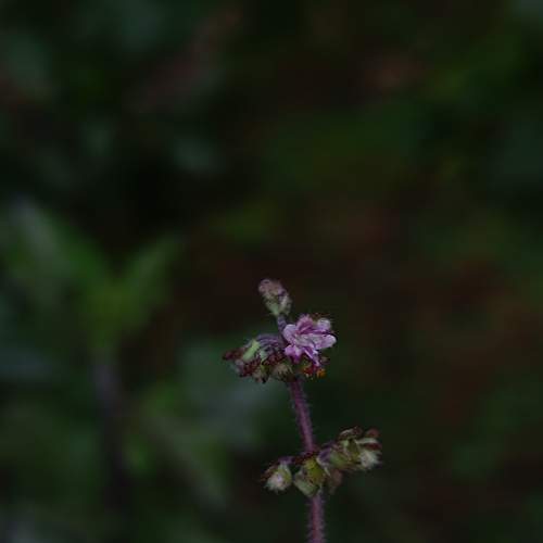 Photo #9951751