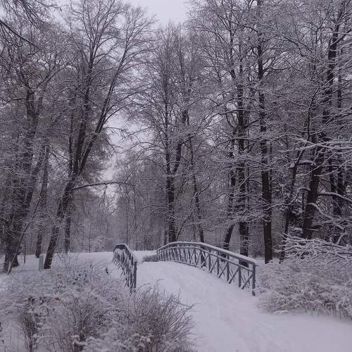 Photo #9951799