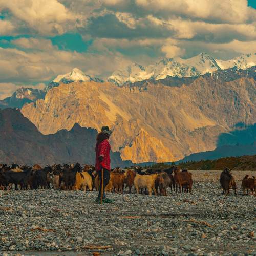 Photo #9952104