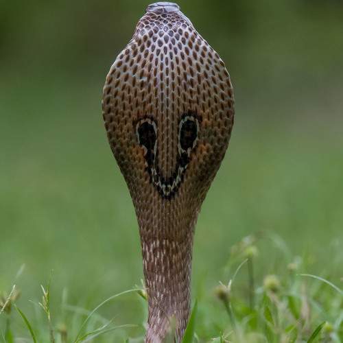 Photo #9952164