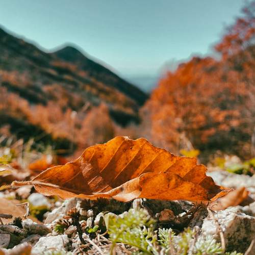 Photo #9952180