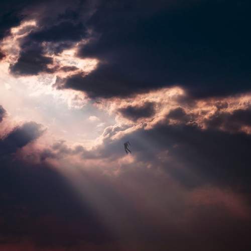 Photo #9952806