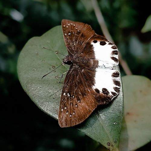Photo #9953014