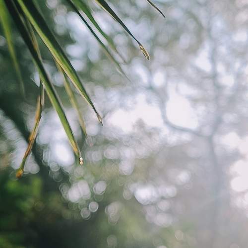 Photo #9953015