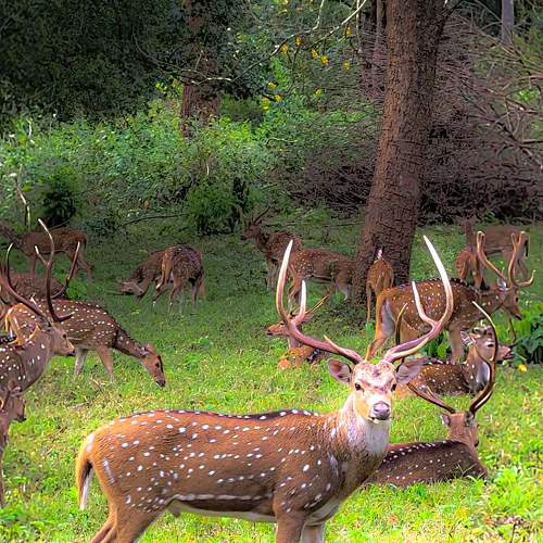 Photo #9953043