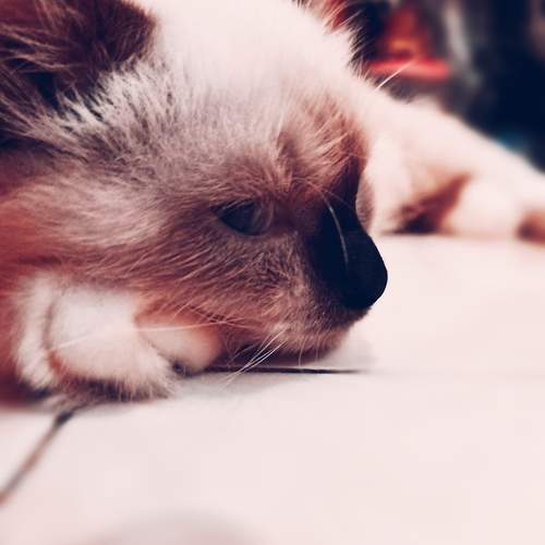 Photo #9953168