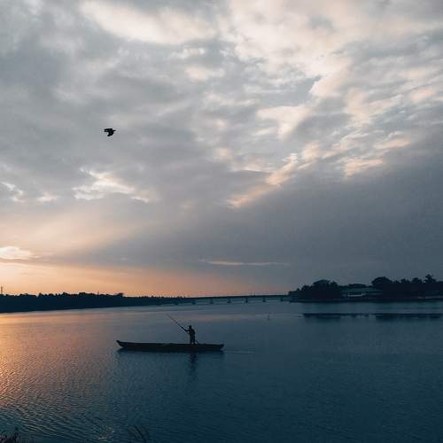 Photo #9953328