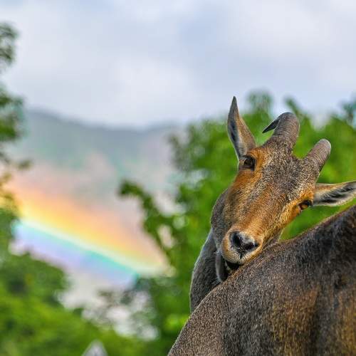 Photo #9953419