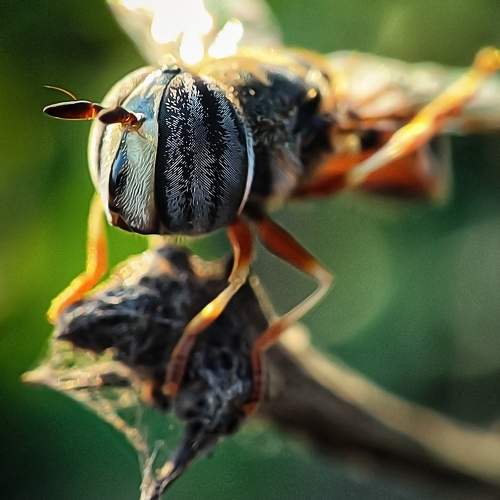 Photo #9953458