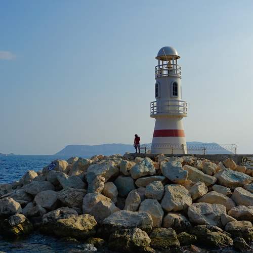 Photo #9953684