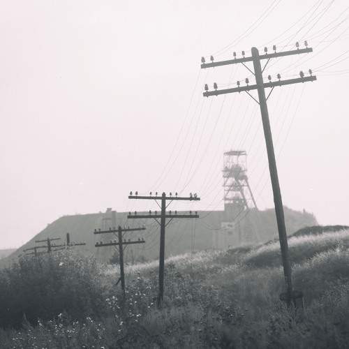 Photo #9953720