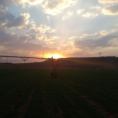 Photo #9953910