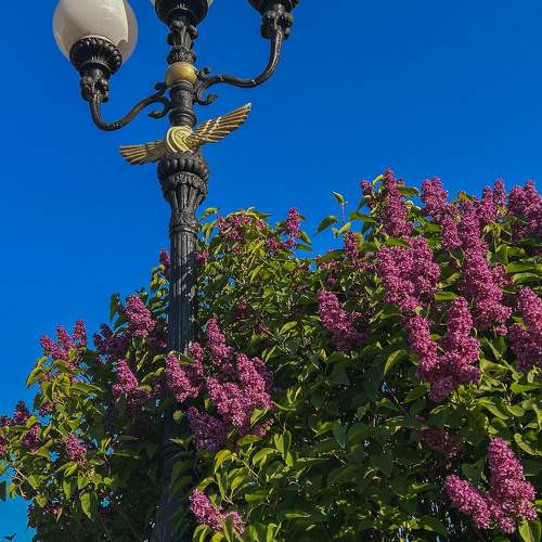 Photo #9954324