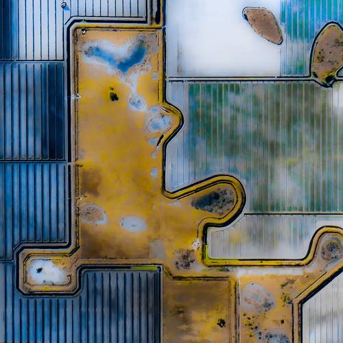Photo #9954348