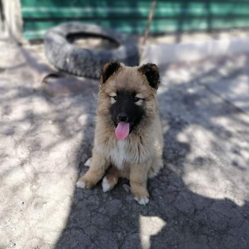 Photo #9954525