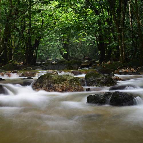 Refreshing