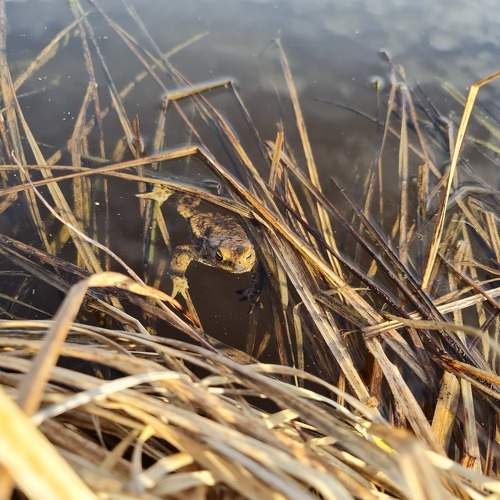 Photo #9954583