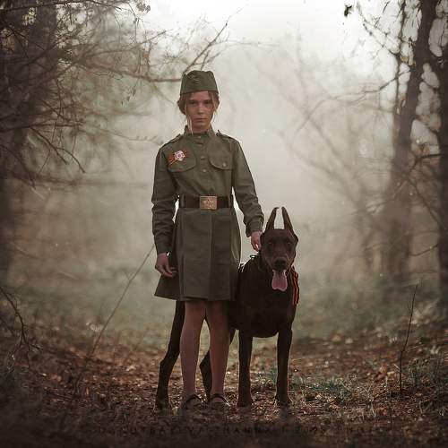 Photo #9955017