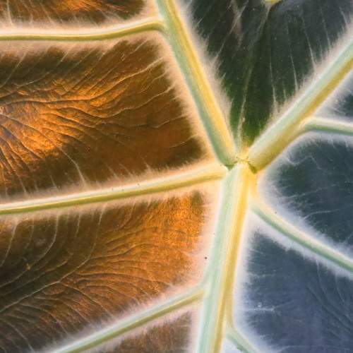 Photo #9955397