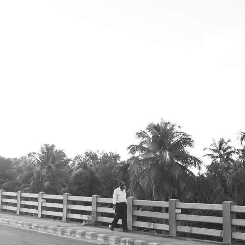 Photo #9955439