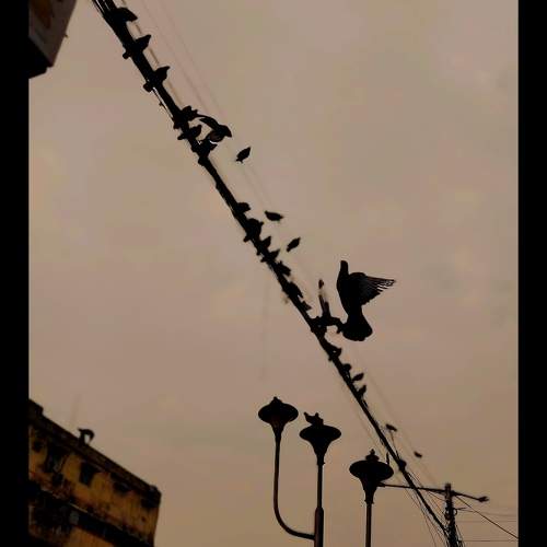 Photo #9955452