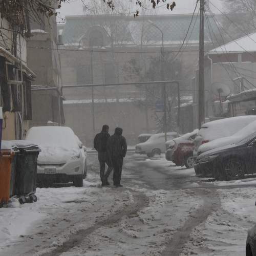 Photo #9955560