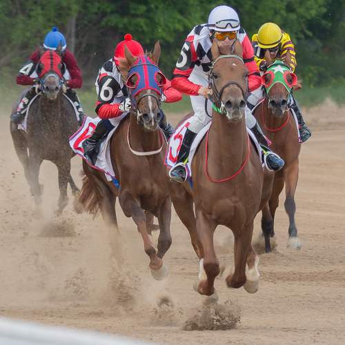 Фотография #9955809