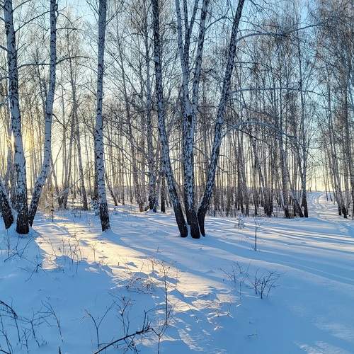 Photo #9955849
