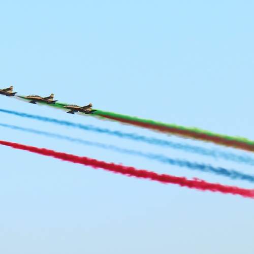 Photo #9955917